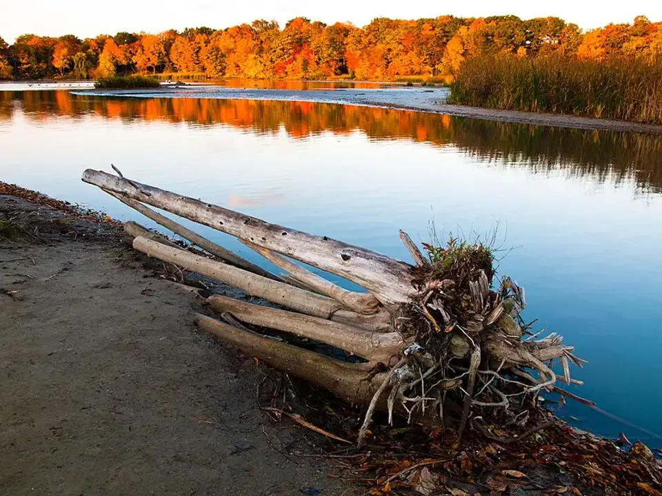 Rouge National Urban Park neighbourhood in Toronto
